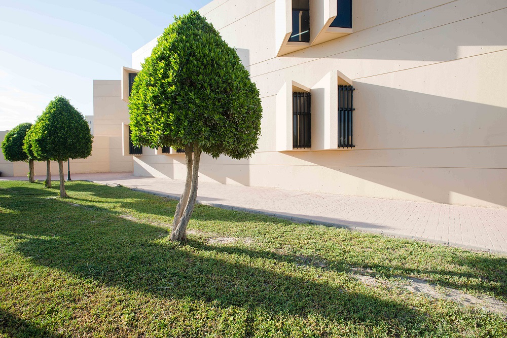 IMAM ABDULRAHMAN UNIVERSITY